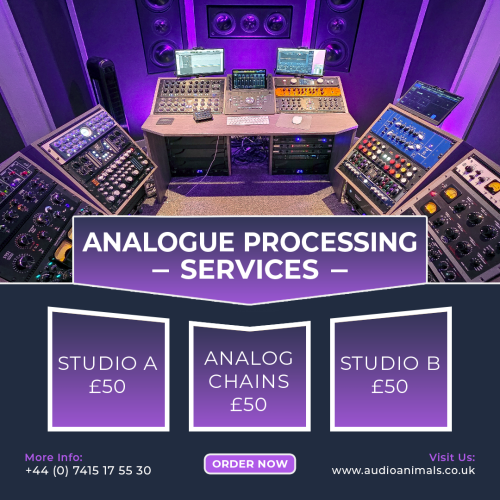 Analogue Processing