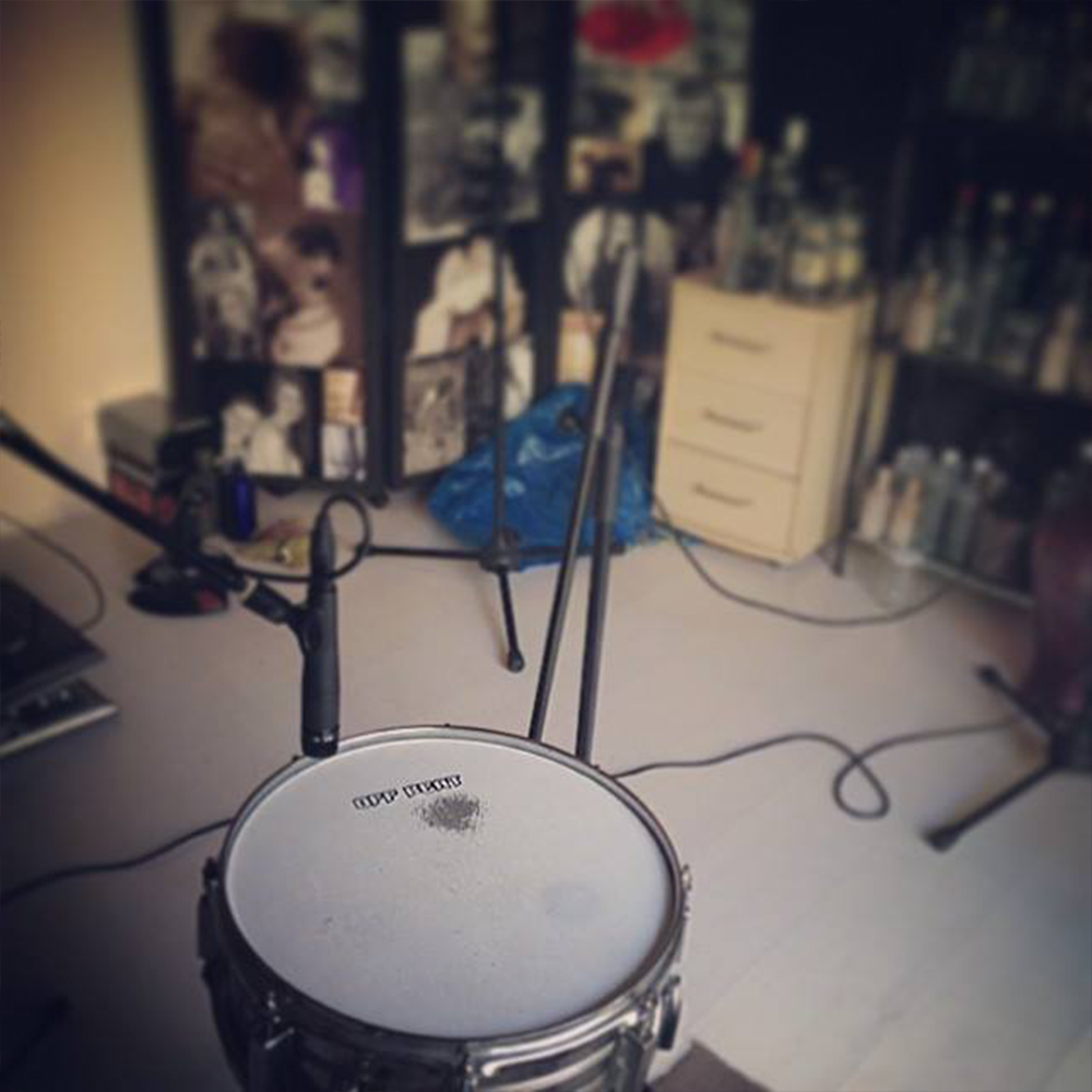 Collective-Snares-Product-Image-2 Collective-Snares-Product-Image-2