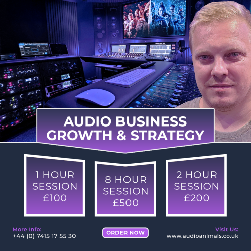 Audio Business Growth & Strategy